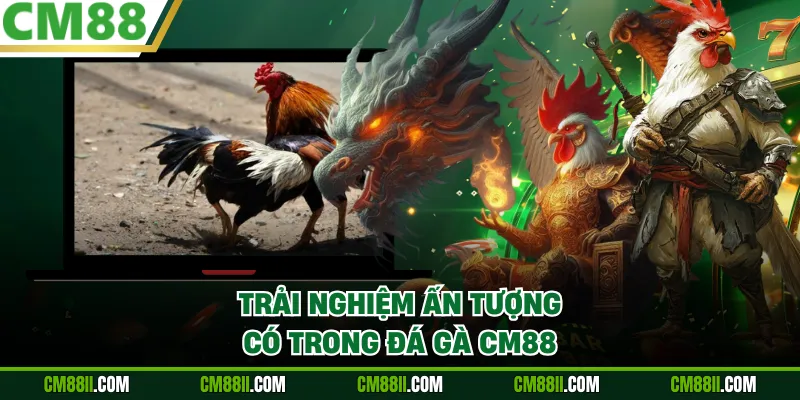 Trải nghiệm ấn tượng có trong đá gà CM88